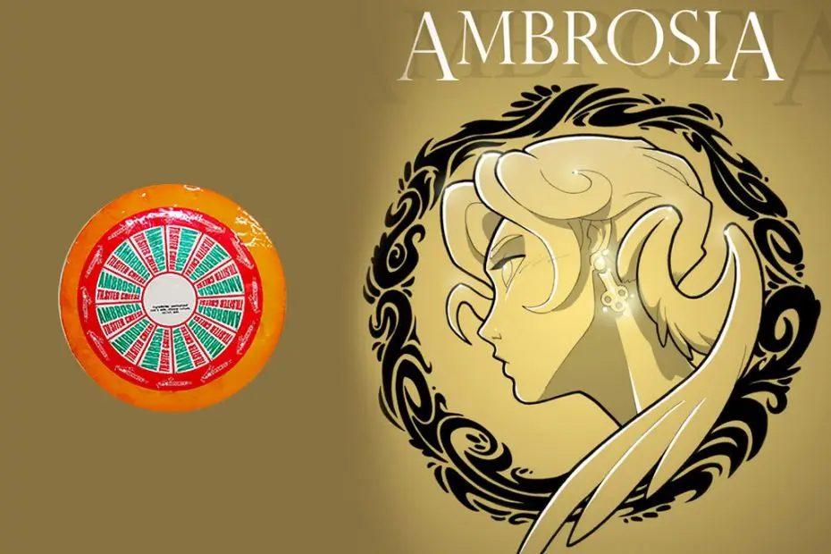 buy ambrosia cheese