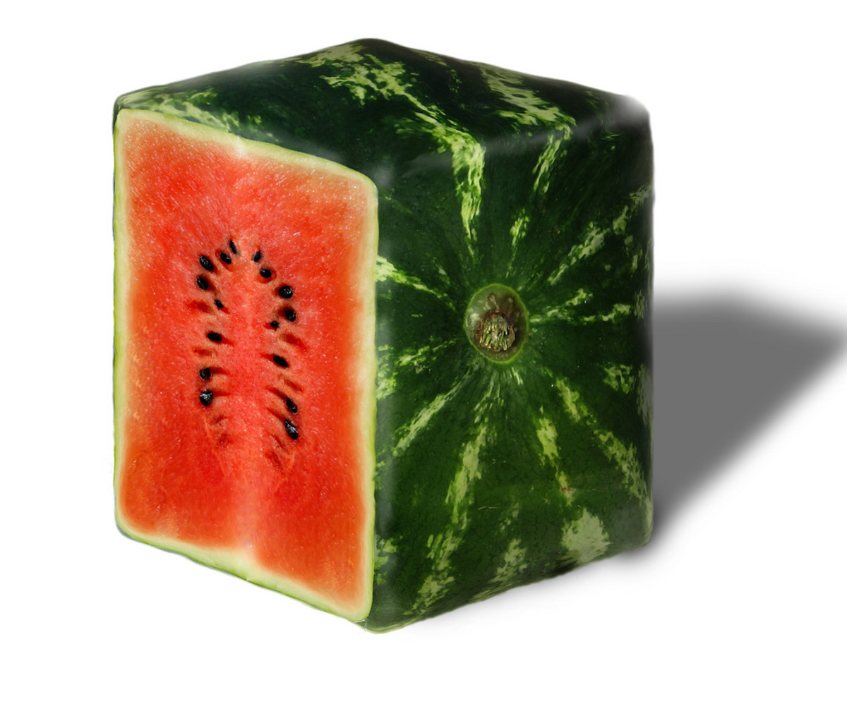 square watermelon japan
