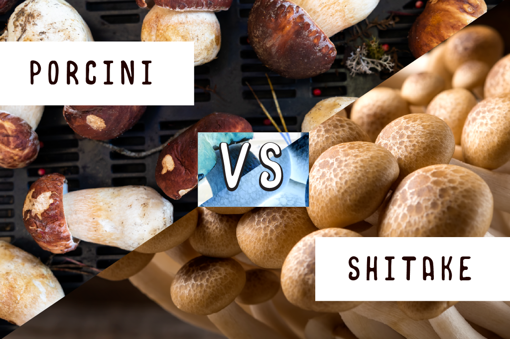 Battle of the Shrooms Shitake vs Porcini