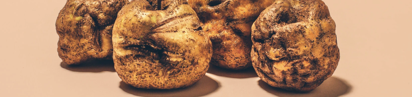 Strange Fruit Series: Knobbed Russet Apple