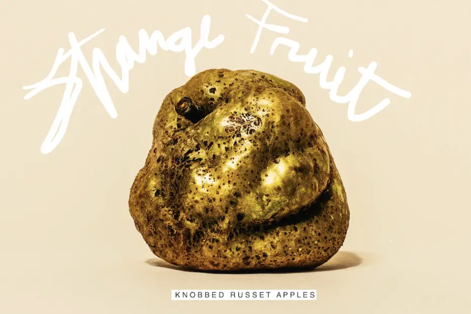 Strange Fruit Knobbed Russet Apple