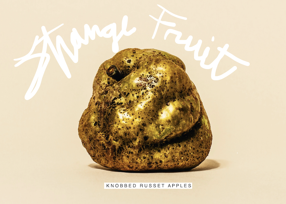 Strange Fruit Series: Knobbed Russet Apple