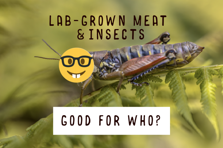 lab grown mean & insects