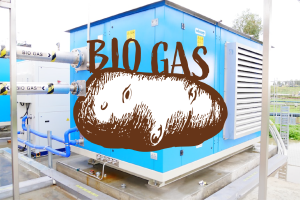 Biogas Potato