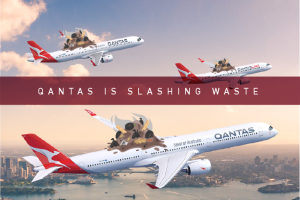 Qantas Airline Waste