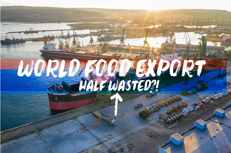 Global Food Waste Cold Chain