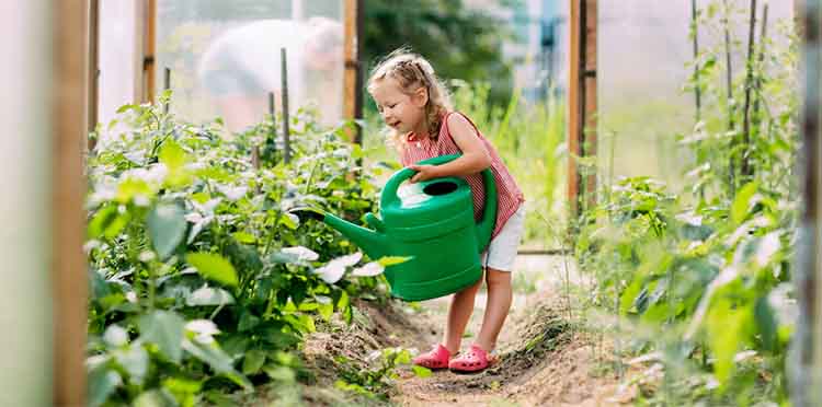 VICTORY GARDENS KIDS AUSTRALIA