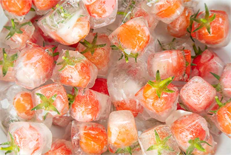 Frozen food tomato