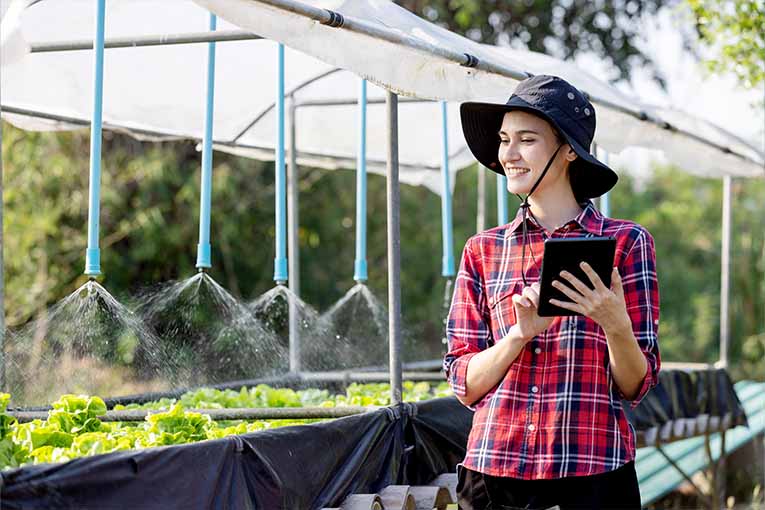 a women inspecting crops with a tablet